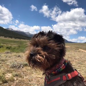 Meet your Posher, Kim